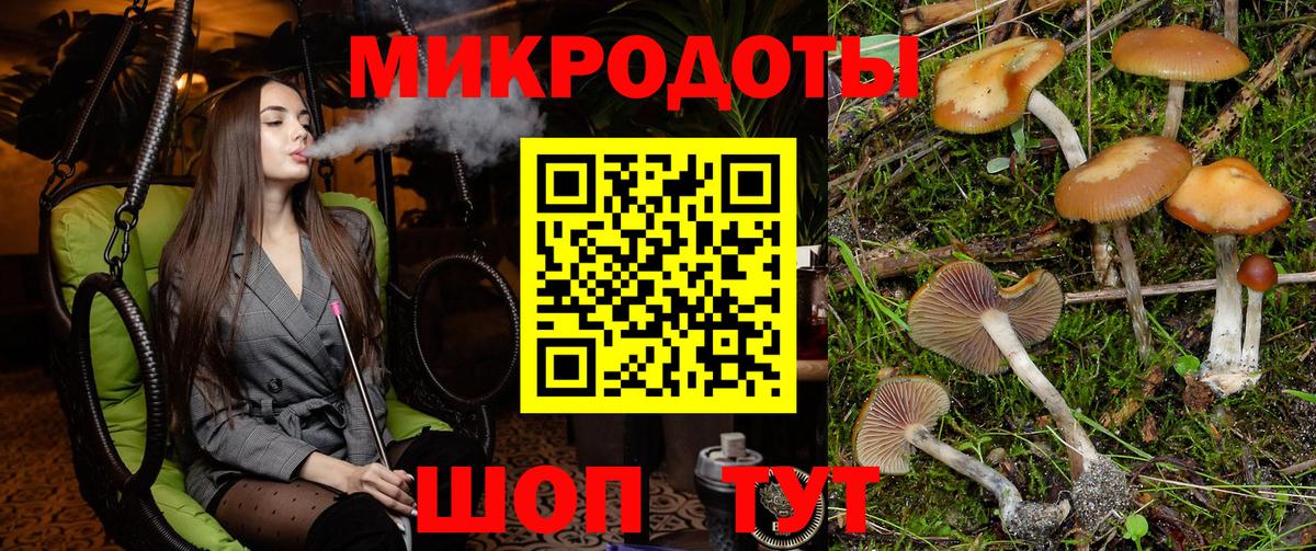 Галлюциногенные грибы Psilocybe  Вход с VPN  Знаменск 