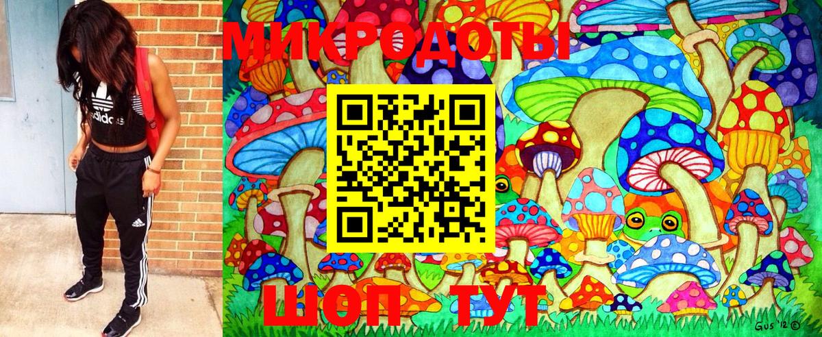 Псилоцибиновые грибы Psilocybine cubensis Знаменск